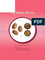 Myristicae Semen - An Microscopic Analysis of Nutmeg (Myristica Fragrans)