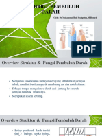 Fisiologi Pembuluh Darah