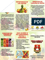 TRIPTICO (1).pdf