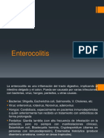 Exposicion Enterocolitis