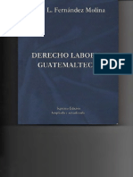 Derecho Labooral Guatemalteco..pdf