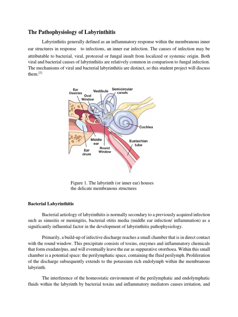 The Pathophysiology of Labyrinthitis Virus Infection
