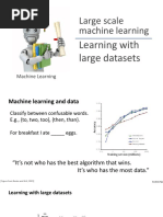 Large Scale Machine Learning