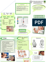 Triptico Charla Cuidados en El Recien Nacido PDF