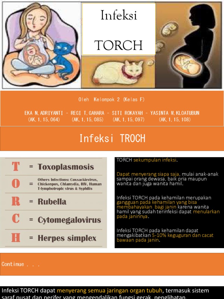 Dampak Infeksi TORCH pada Ibu Hamil | PDF