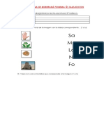 Prueba de Lenguaje 3° Diagnostico