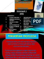 Protozoa Kelompok 1 Kelas 1FA5