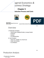 Managerial Economics & Business Strategy: The Production Process and Costs