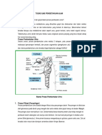 Ipa 1