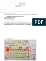 Fiziologie Digestie+igiena