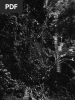 ARTICOLO - Angela Varela Loeb Os Bólides do Programa Ambiental de Hélio Oiticica.pdf