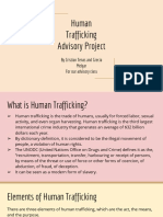 human trafficking advisory project