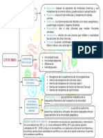 Citocinas: Funciones y Receptores