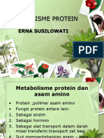 Metabolisme Protein