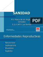 SANIDAD