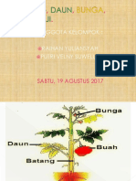 Batang, Daun, Bunga, Buah