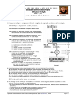 Ficha - de - Preparacao - para - o - Teste Ferm e Resp Celular Com Soluções