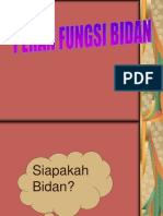 Peran Fungsi Bidan