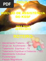 Nucleo_de_Assistencia_KSSF-Gisa Diniz.pptx