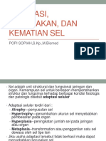 ADAPTASI, KERUSAKAN, DAN KEMATIAN SEL - PPSX