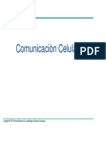 Comunicaciòn Celular