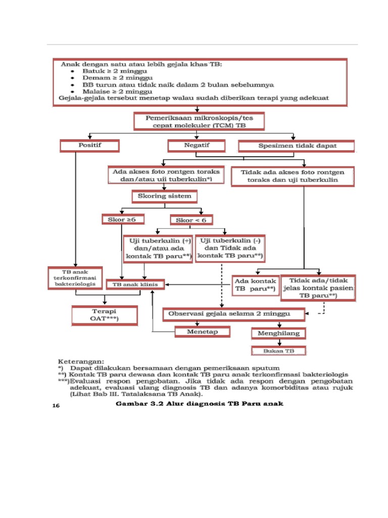 Alur Diagnosis TB Anak | PDF