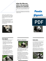 panda.docx