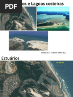 Ecologia de Ecossistemas Ronaldo 07-05-15