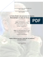 Tesis Dra - Beatriz Bravo PDF
