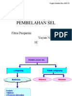 Presentasi PEMBELAHAN SEL