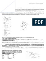 Biomecánica de Los Dedos de La Mano