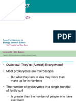 Chapter 27 - Prokaryotes