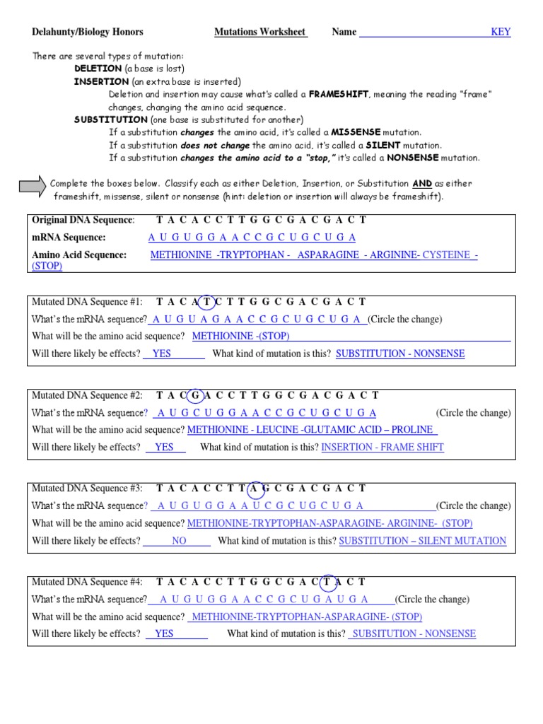 Mutations - WS - KEY  Point Mutation  Genetic Code In Mutations Worksheet Answer Key