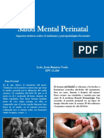 Salud Mental Perinatal 