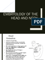 Embryology