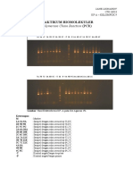Biomol PCR PDF