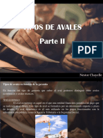 Nestor Chayelle - Tipos de Avales, Parte II