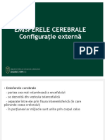 Anatomie IID - Emisf Cerebrale