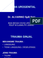 Trauma Urogenital, Dr. Alvarino SP.B, Sp.U