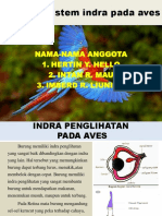 Sistem Indra Aves