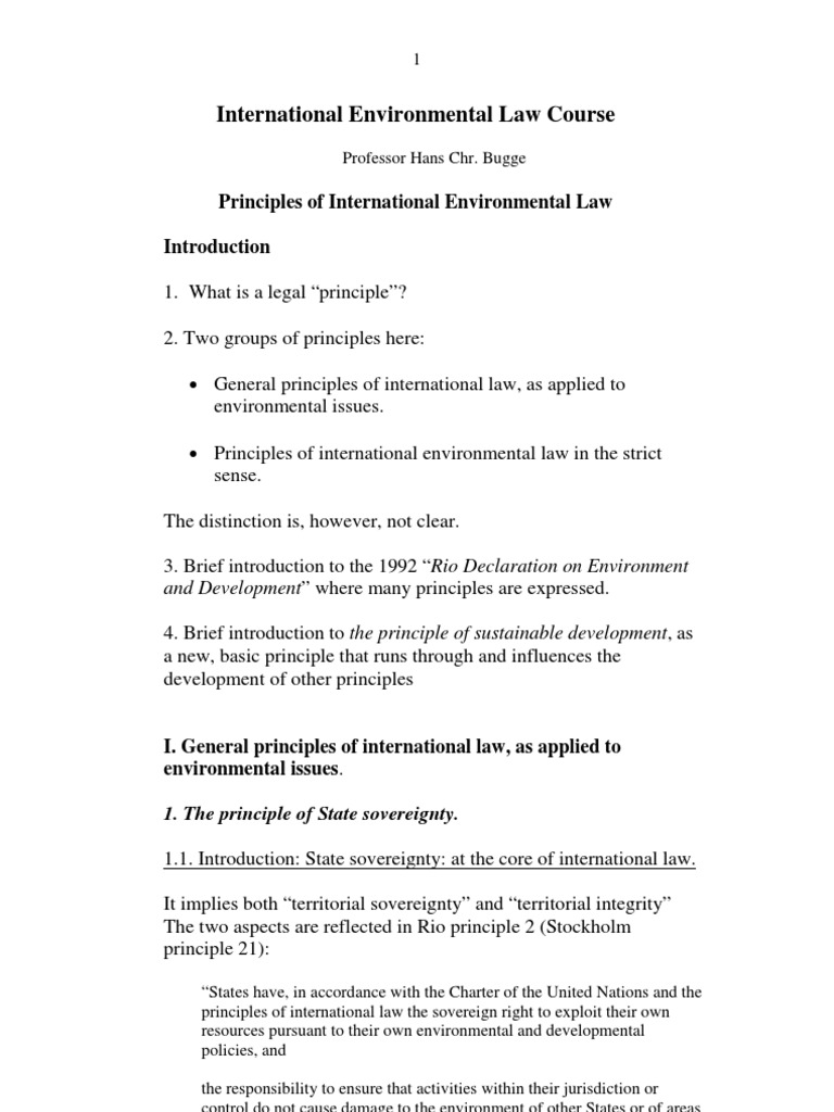 essay on international environmental law