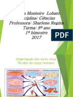 Tecidos Do Corpo Humano 8 Ano