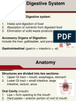 Functions of The Digestive System