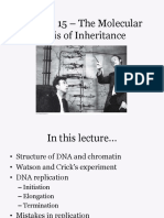 Molecular Basics Ogf The Inheritance