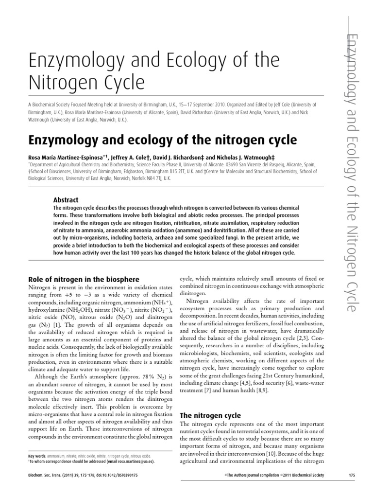 Enzymology and Ecology of The Nitrogen Cycle | PDF | Nitrogen | Chemistry
