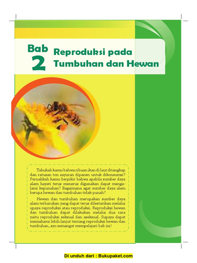 Reproduksi Pada Tumbuhan Dan Hewan