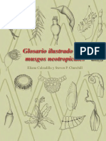 Glosario_complete_libro[1].pdf