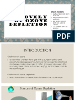 Recovery of Ozone Depletion: Group Members