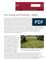 Pre-Sizing and Packing - Apple