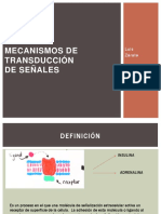 Mecanismos de Transducción